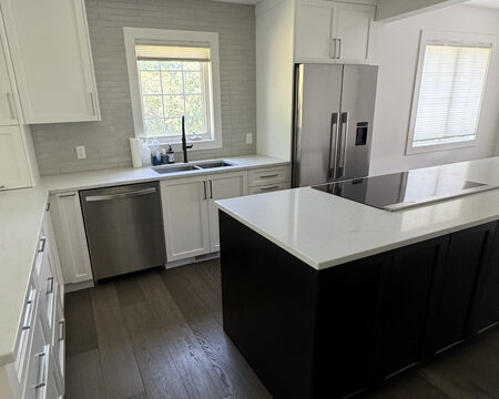 Fully remodeled kitchen in north park san diego