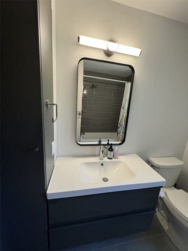 guest bathroom renovation in La Jolla California